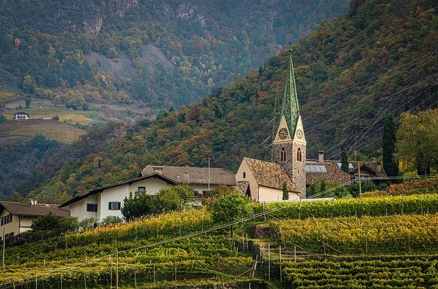 Cycliste dans un vignoble suisse en septembre