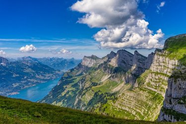 Immersion au cœur des alpages suisses en été : à la rencontre des armaillis