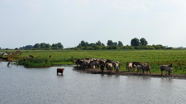 Schweizer Naturschutzgebiete Zug Anreise umweltfreundlich