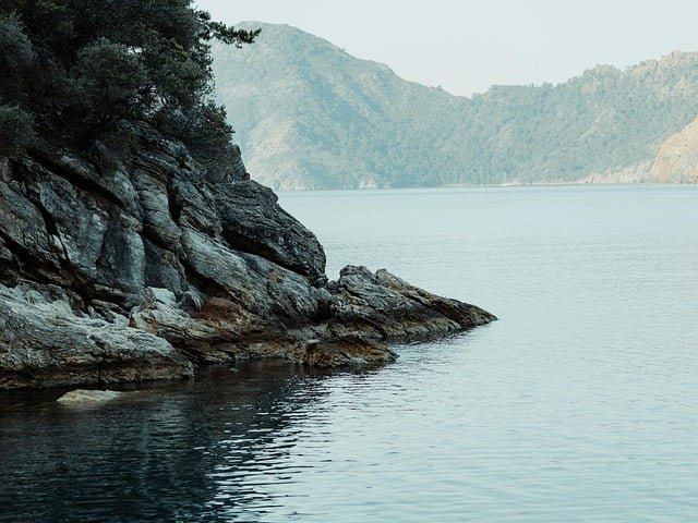 bagno di foresta