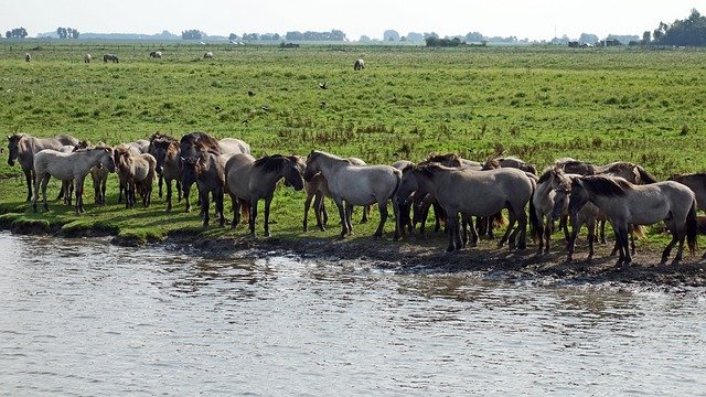 Parc naturel du Gantrisch