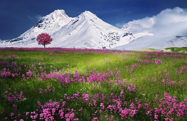 mountain-alps-scenery.jpg