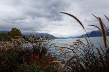 Scoprite i più bei parchi della Svizzera romanda