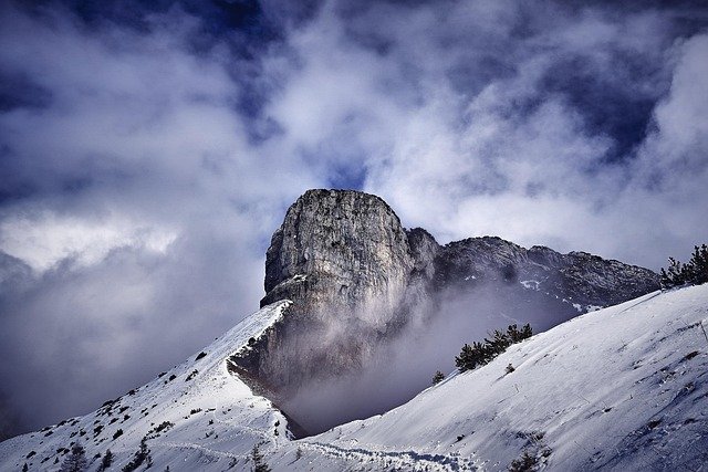 wildlife-switzerland.jpg