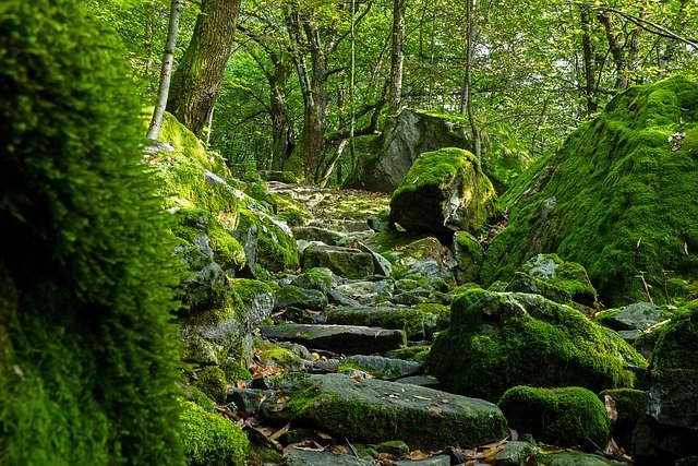 Trail running in Svizzera