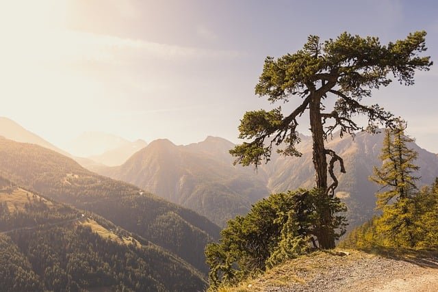 scenic-hike-switzerland