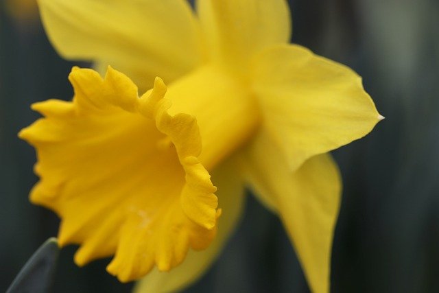 spring-nature.jpg