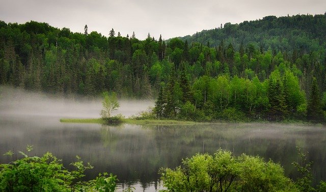 Réserve de biodiversité